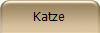 Katzen